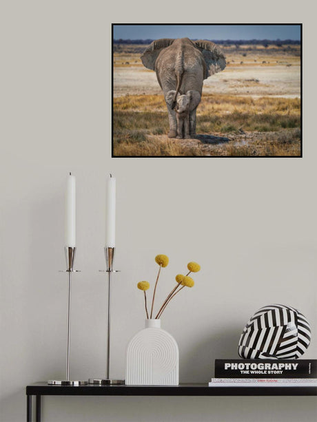 BabyElephant Poster och Canvastavla