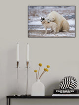 living together Poster och Canvastavla