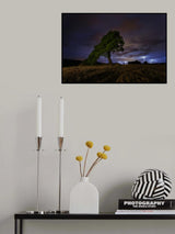 Summer Storm Poster och Canvastavla