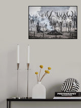 Poster och Canvastavla