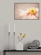la vie en rose Poster och Canvastavla