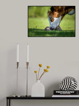cow deer love Poster och Canvastavla