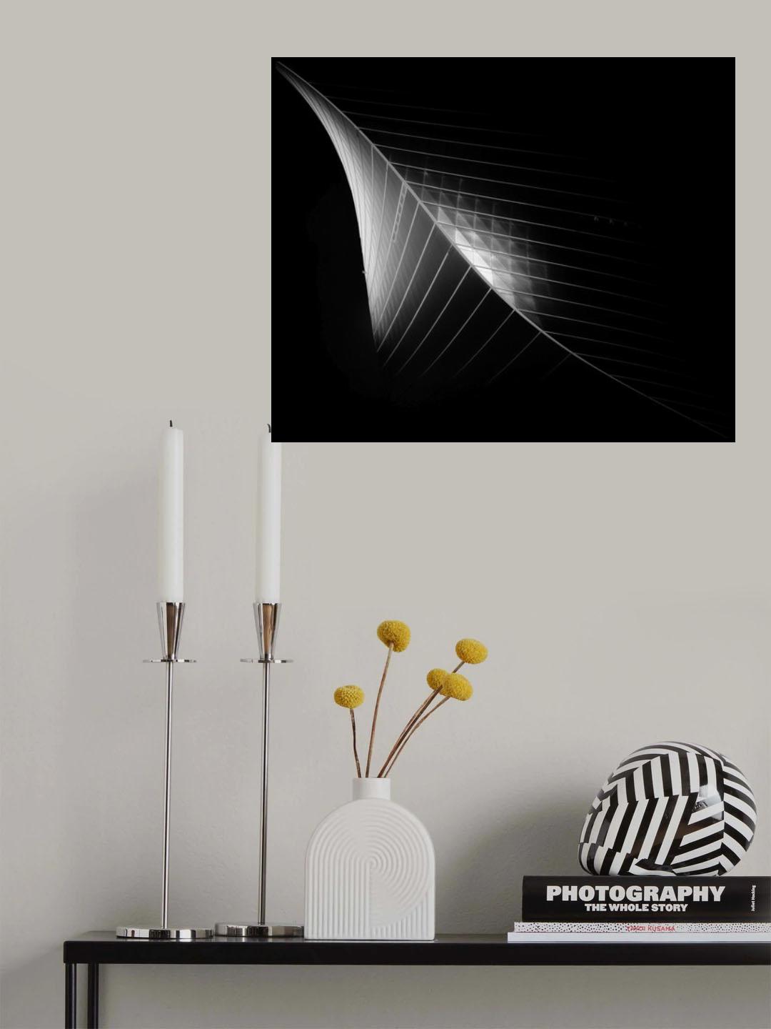 Scimitar 3 ( the eclipse) Poster och Canvastavla