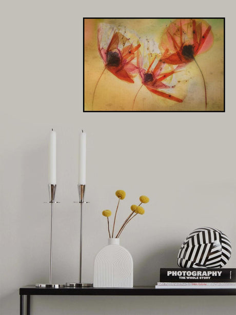 Poppy seeds Poster och Canvastavla
