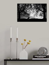 about isolation VI Poster och Canvastavla