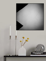 Birdcatcher Poster och Canvastavla