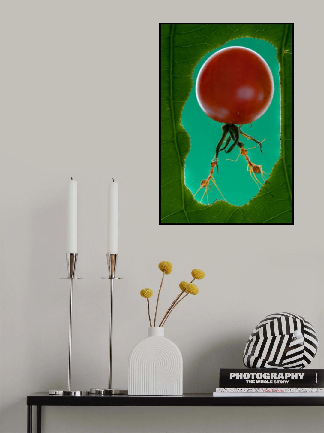 Ants group1 Poster och Canvastavla