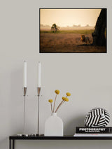 Palm Tree King Poster och Canvastavla