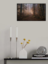 November Symphony Poster och Canvastavla