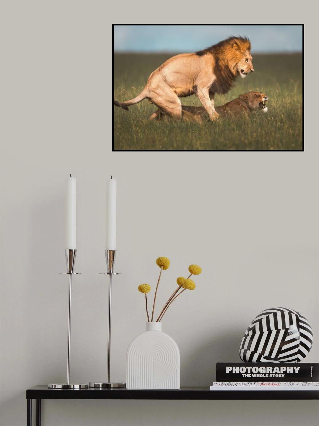 Poster och Canvastavla