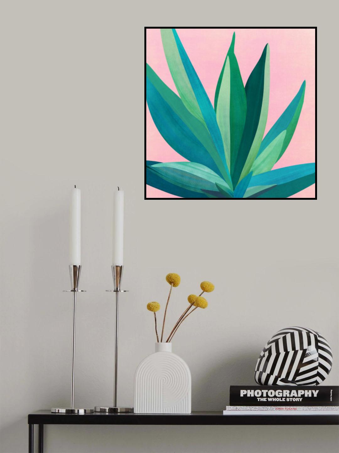 Colorful Agave 4 Poster och Canvastavla