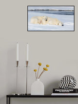 Happiest with Mom Poster och Canvastavla