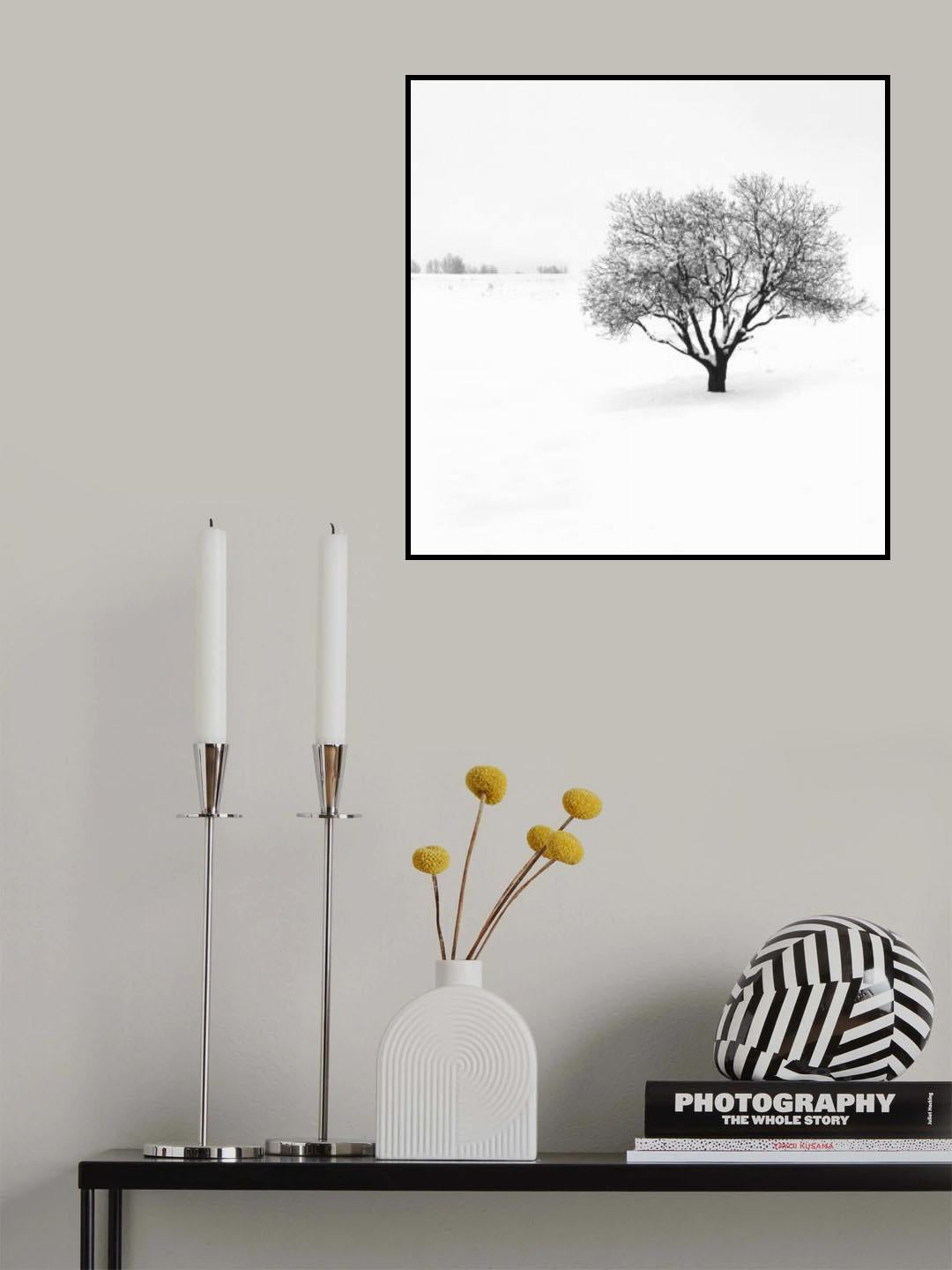 Silence Poster och Canvastavla