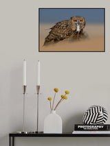 Pharaoh Eagle Owl Poster och Canvastavla