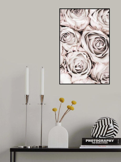 Grey Roses No 01 Poster och Canvastavla