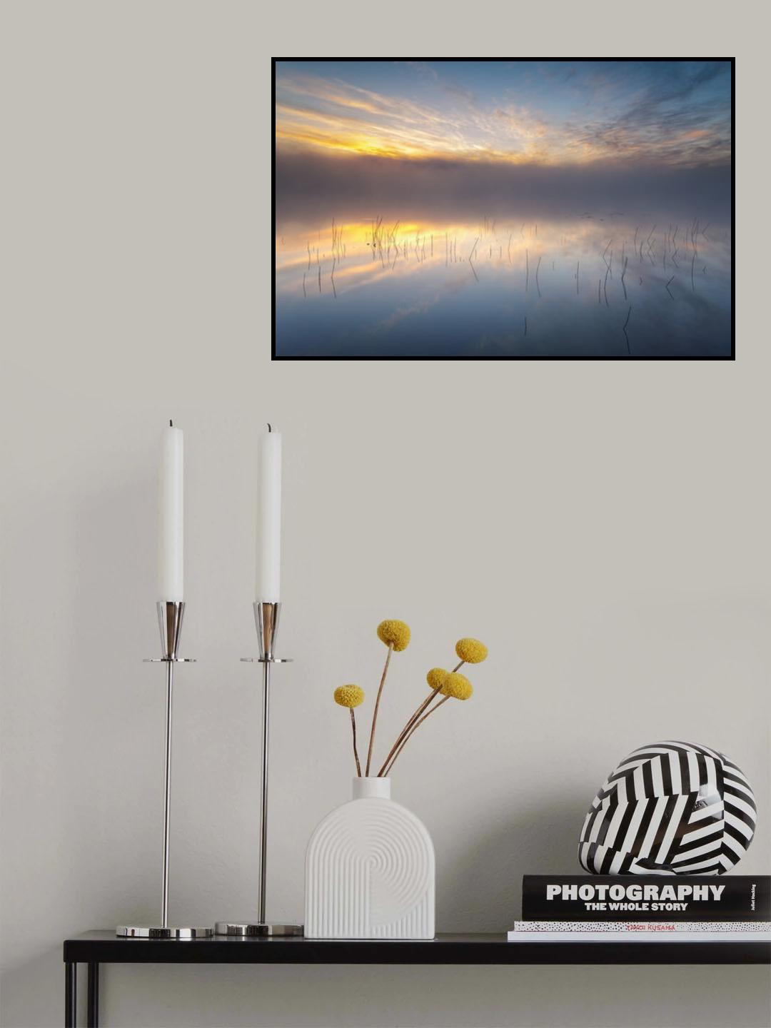 Reeds Poster och Canvastavla