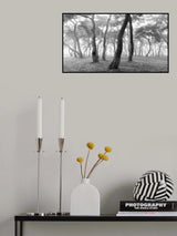 Mist Pine Forest Poster och Canvastavla