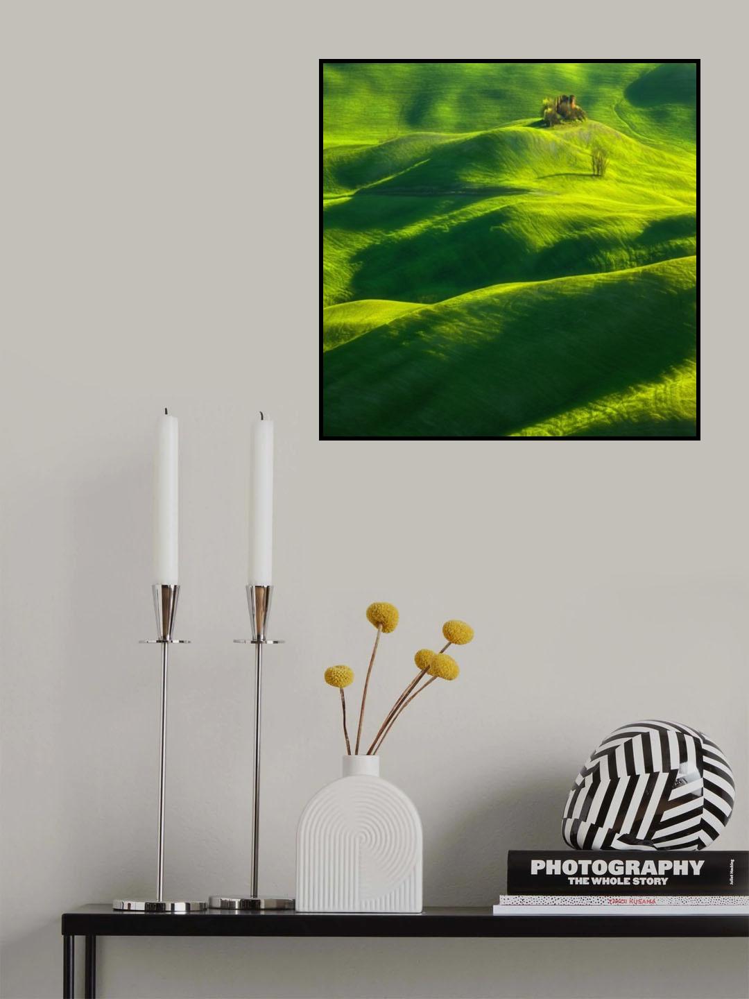 Spring... Poster och Canvastavla