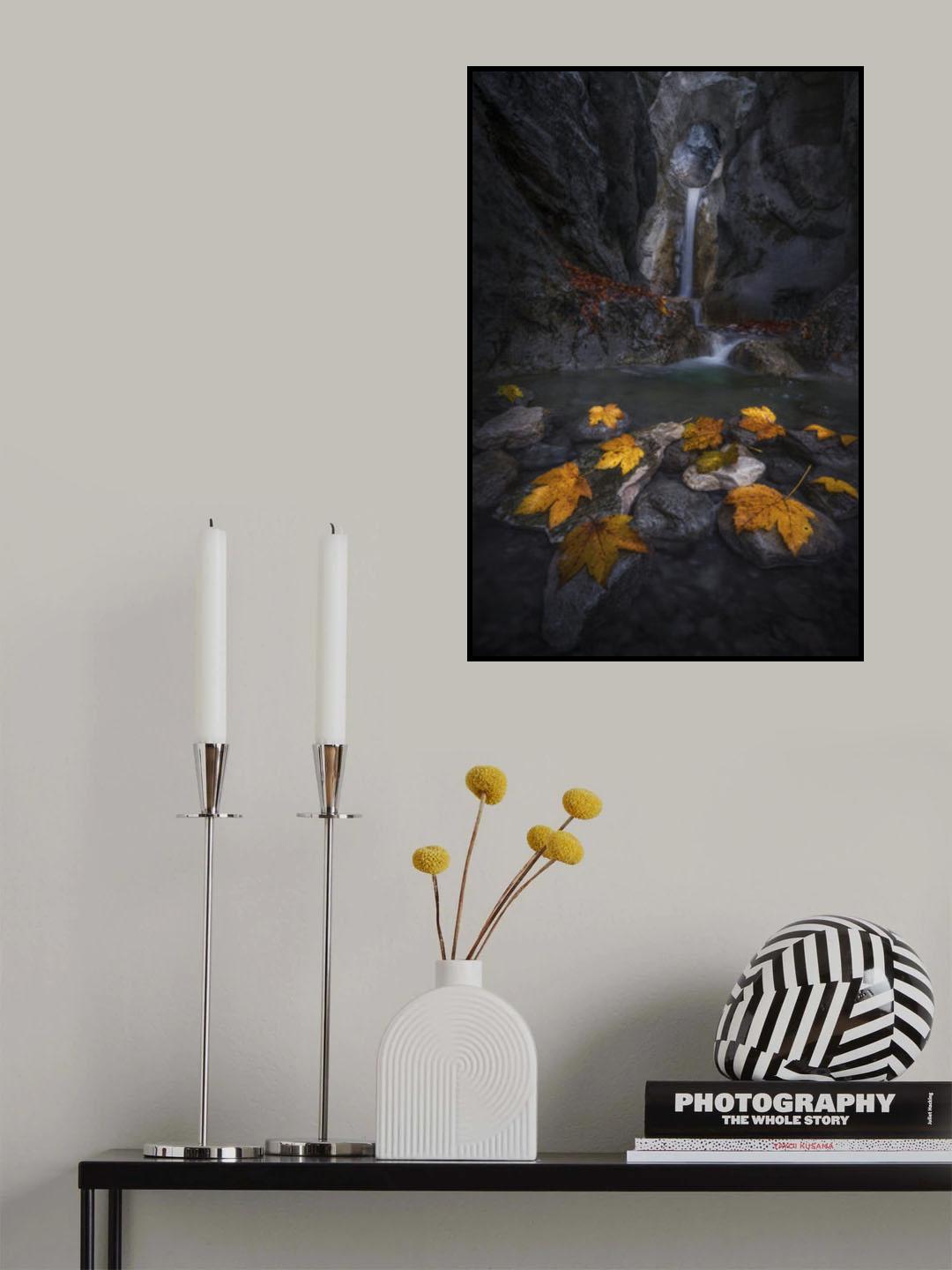Autumn leaves in the gorge... Poster och Canvastavla