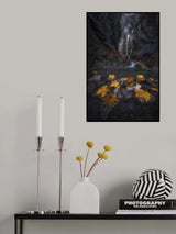 Autumn leaves in the gorge... Poster och Canvastavla