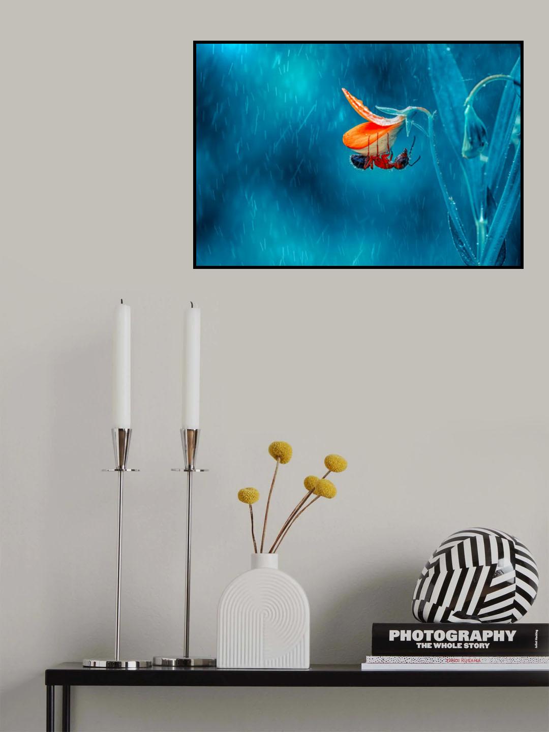 Rain Poster och Canvastavla