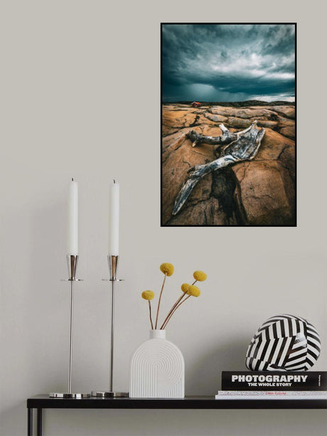 Drift wood Poster och Canvastavla