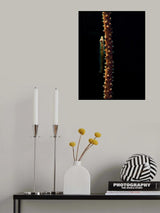 Red deep Poster och Canvastavla