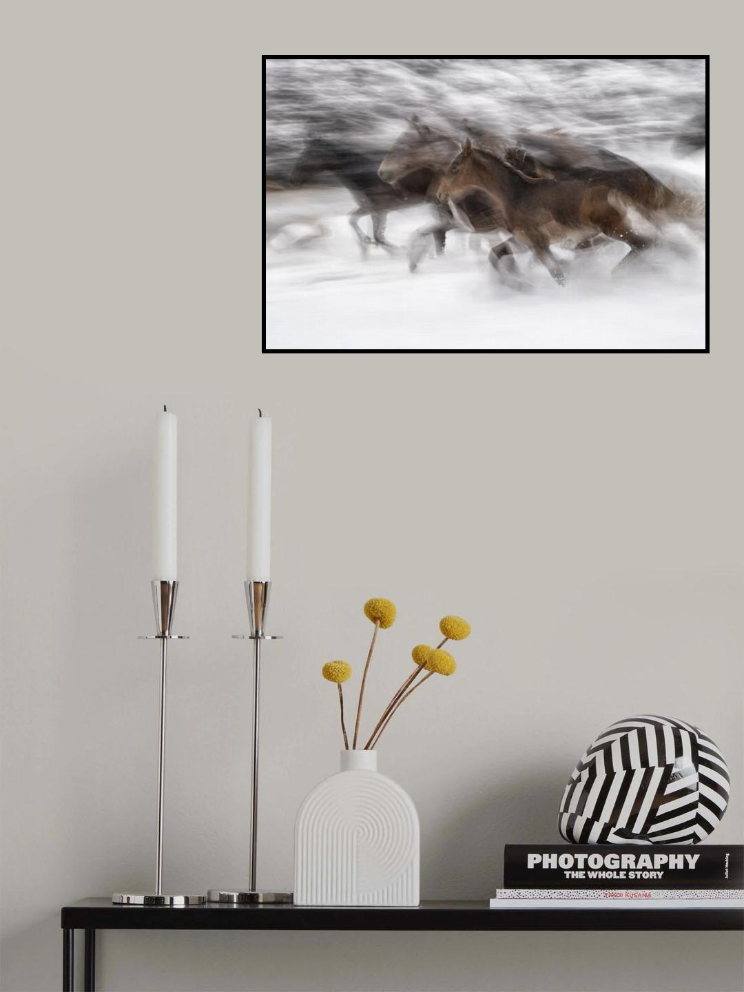 winter gallop Poster och Canvastavla