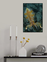 Squiddly Poster och Canvastavla