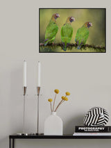 Hear No Evil, See No Evil, Speak No Evil Poster och Canvastavla