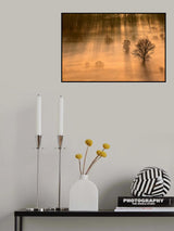 Pins of light Poster och Canvastavla