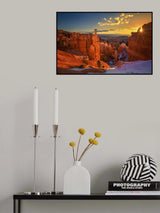 Bryce Canyon Spring Poster och Canvastavla