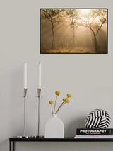 Three trees Poster och Canvastavla