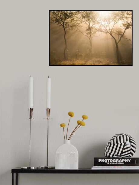 Three trees Poster och Canvastavla