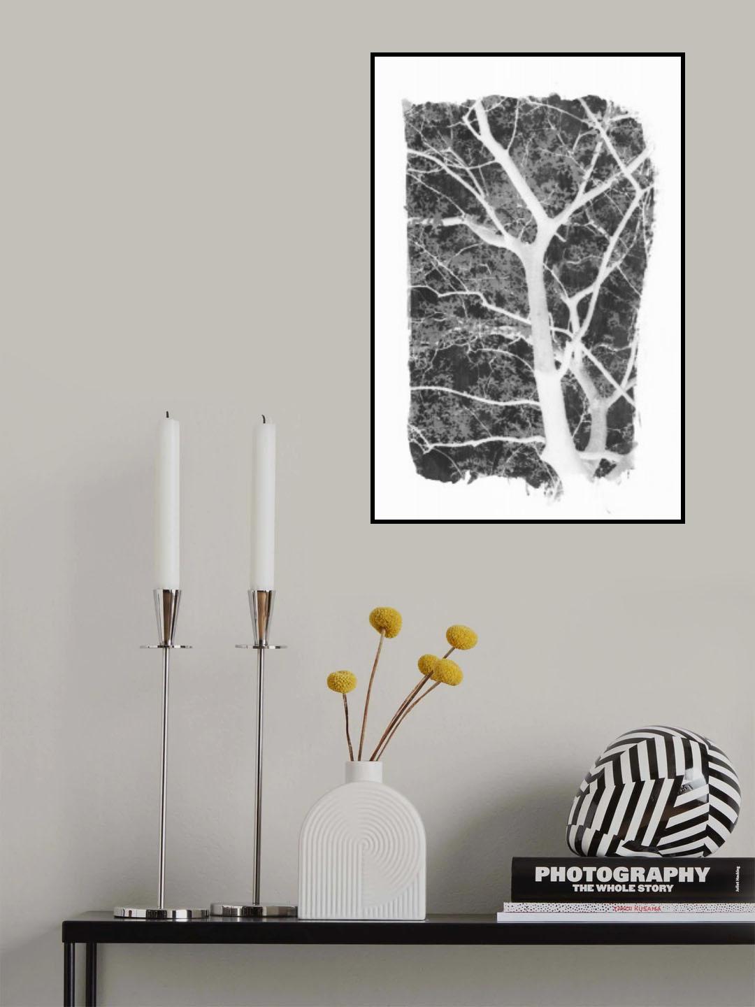 Black Tree Foliage Silhouette Poster och Canvastavla