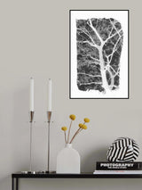 Black Tree Foliage Silhouette Poster och Canvastavla