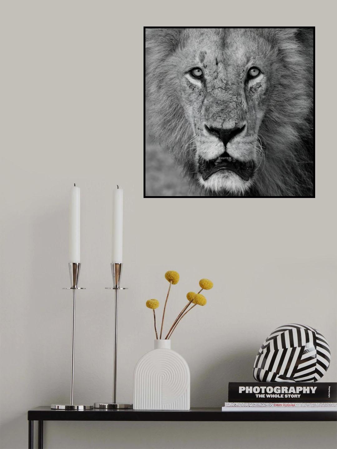 Eye to eye Poster och Canvastavla