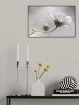Simply Cosmos Poster och Canvastavla