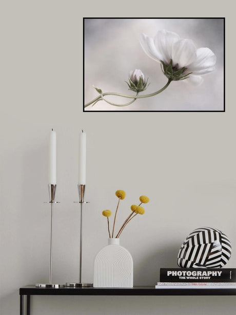 Simply Cosmos Poster och Canvastavla