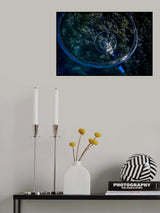 living in a Bubble Poster och Canvastavla