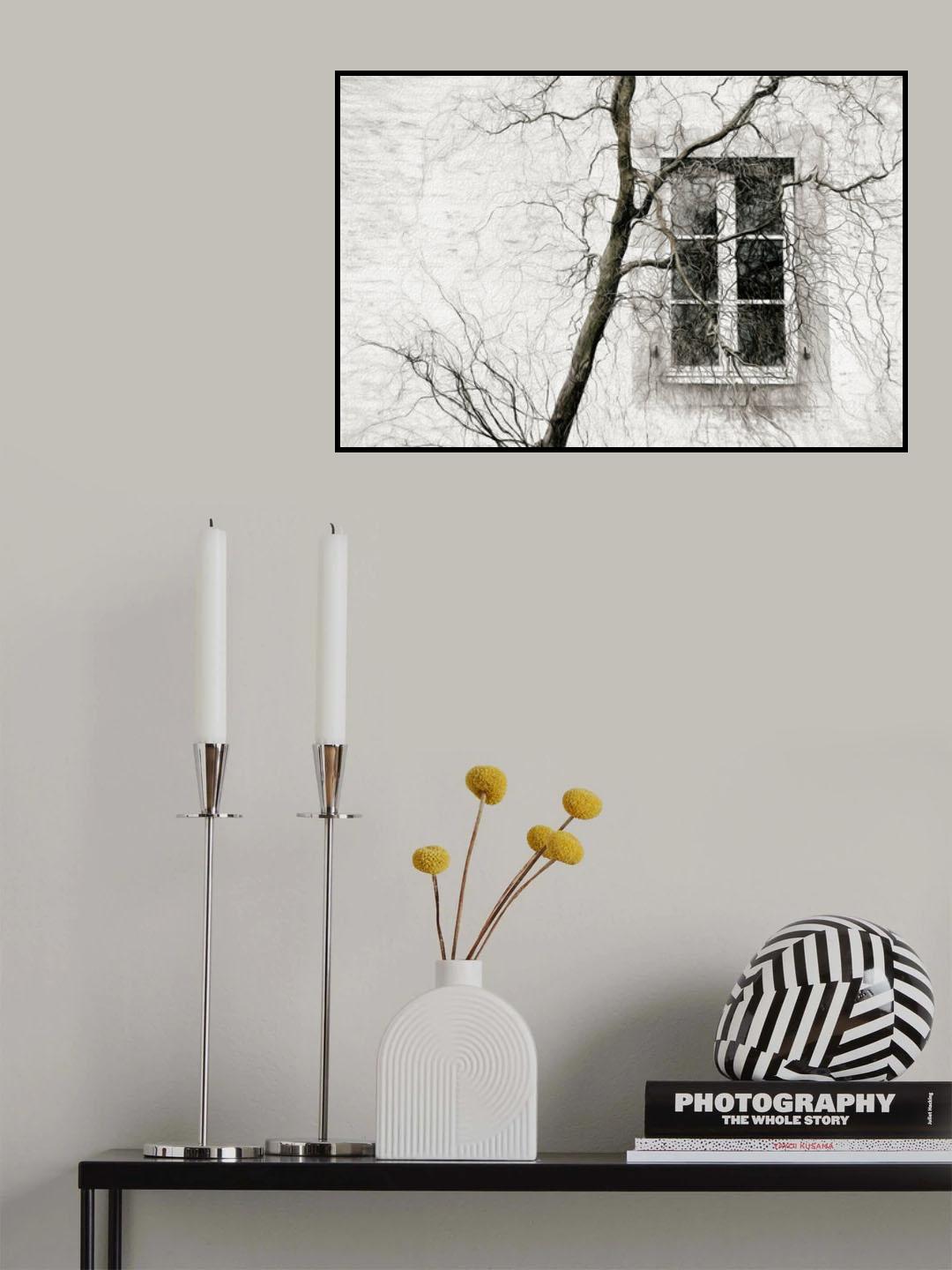 veiled window Poster och Canvastavla