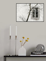 veiled window Poster och Canvastavla