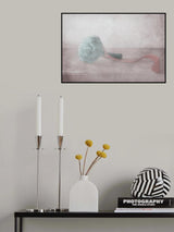 The red ribbon Poster och Canvastavla