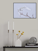 Snowy Poster och Canvastavla