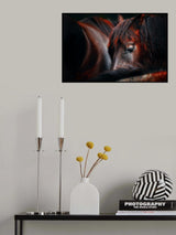 Sleep huddle Poster och Canvastavla