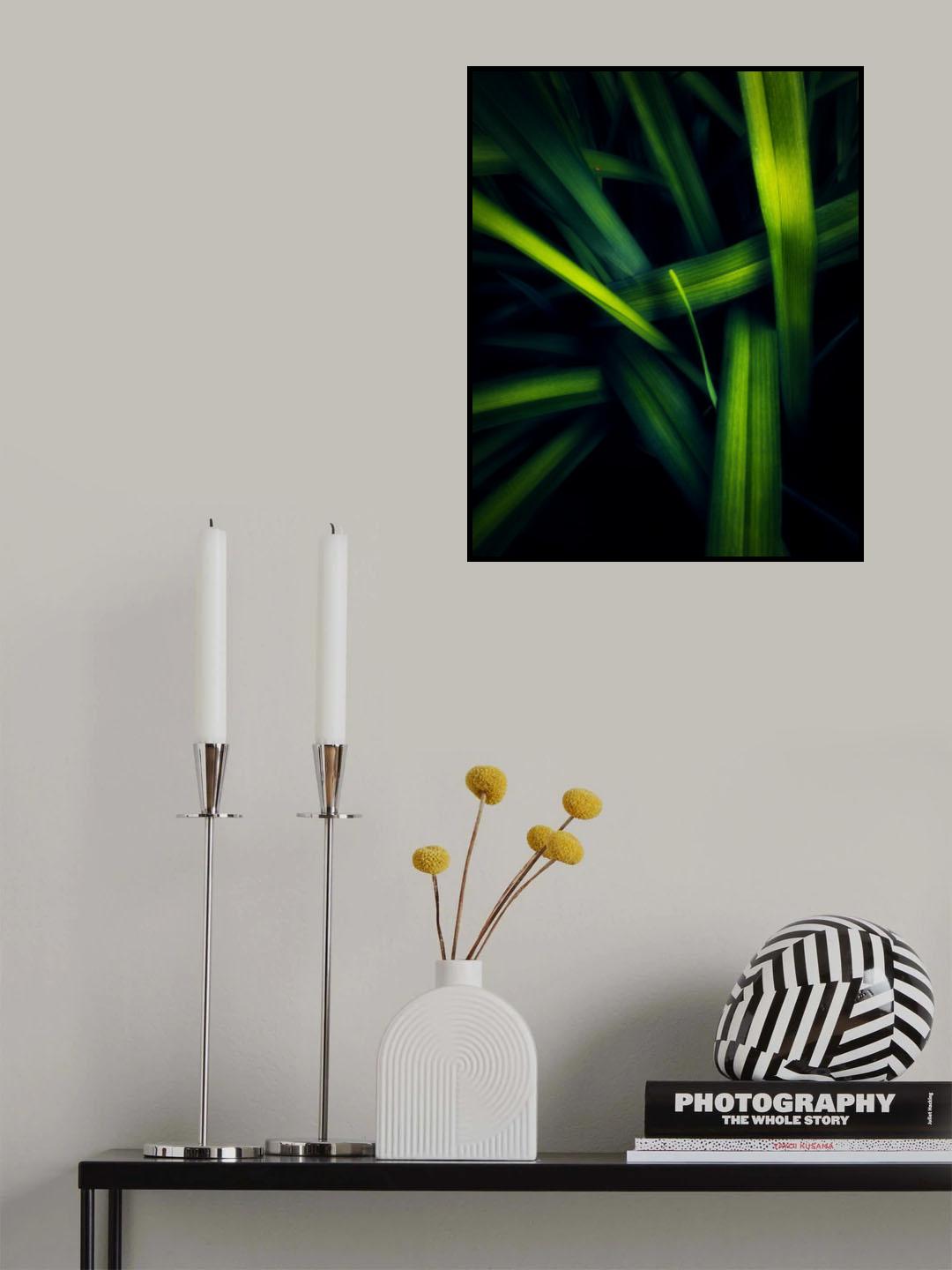 Lingering love Poster och Canvastavla