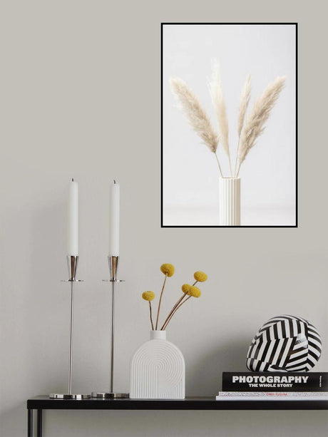 Pampas Grass Grey 09 Poster och Canvastavla