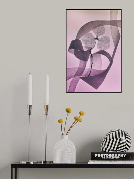 Graceful Poster och Canvastavla