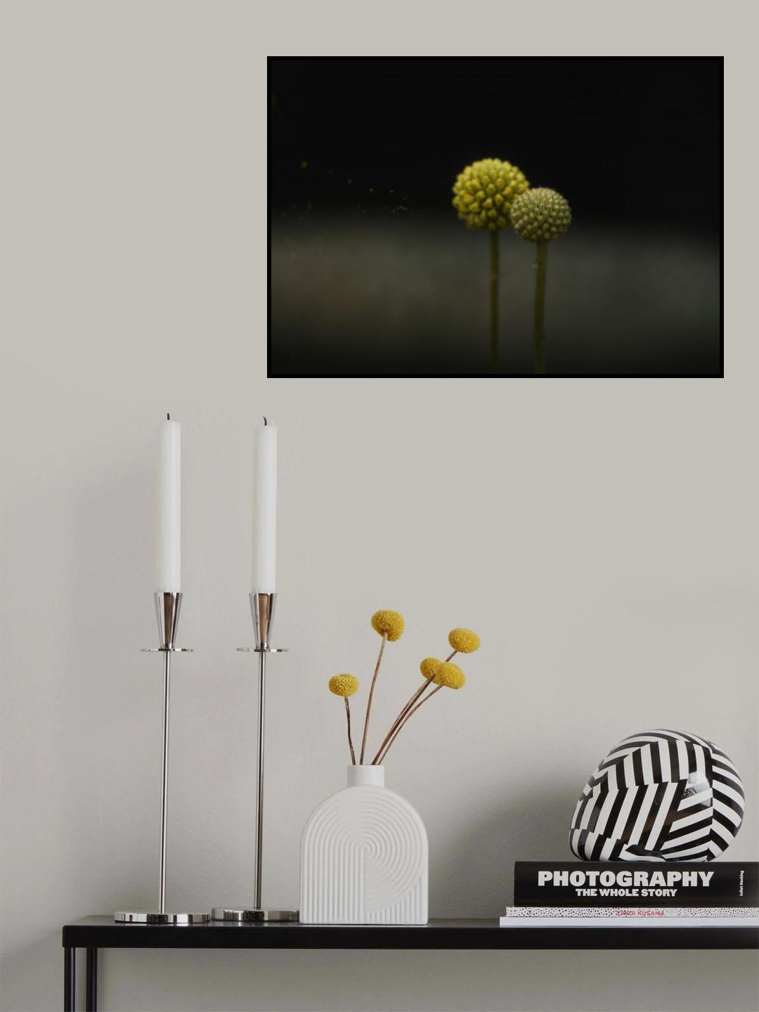 Craspedias Poster och Canvastavla