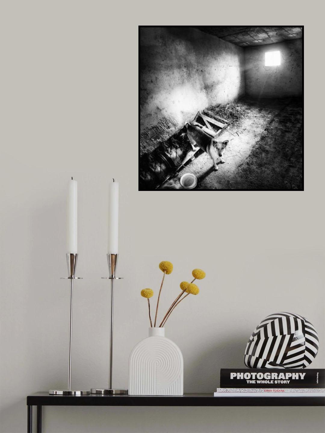 dog's life Poster och Canvastavla